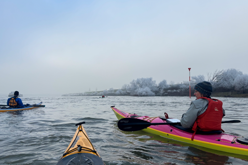 lutz-paddelt-rhein-IMG_1751 2 Geführte Kajaktour auf dem Rhein – Bild 4