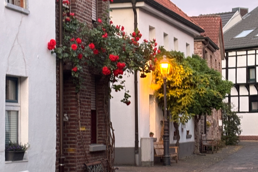 lutz-paddelt-rhein-IMG_4116 Geführte Kajaktour auf dem Rhein – Bild 3